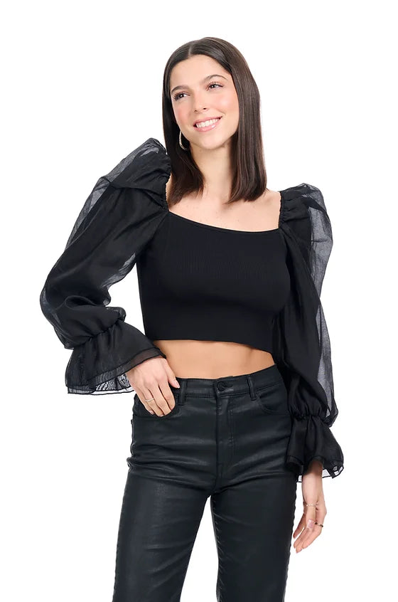 Black Sheered Puff Long Sleeve top
