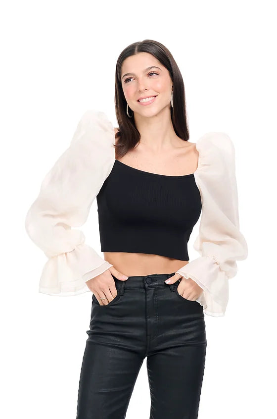 Black & Beige Sheered Puff Long Sleeve top