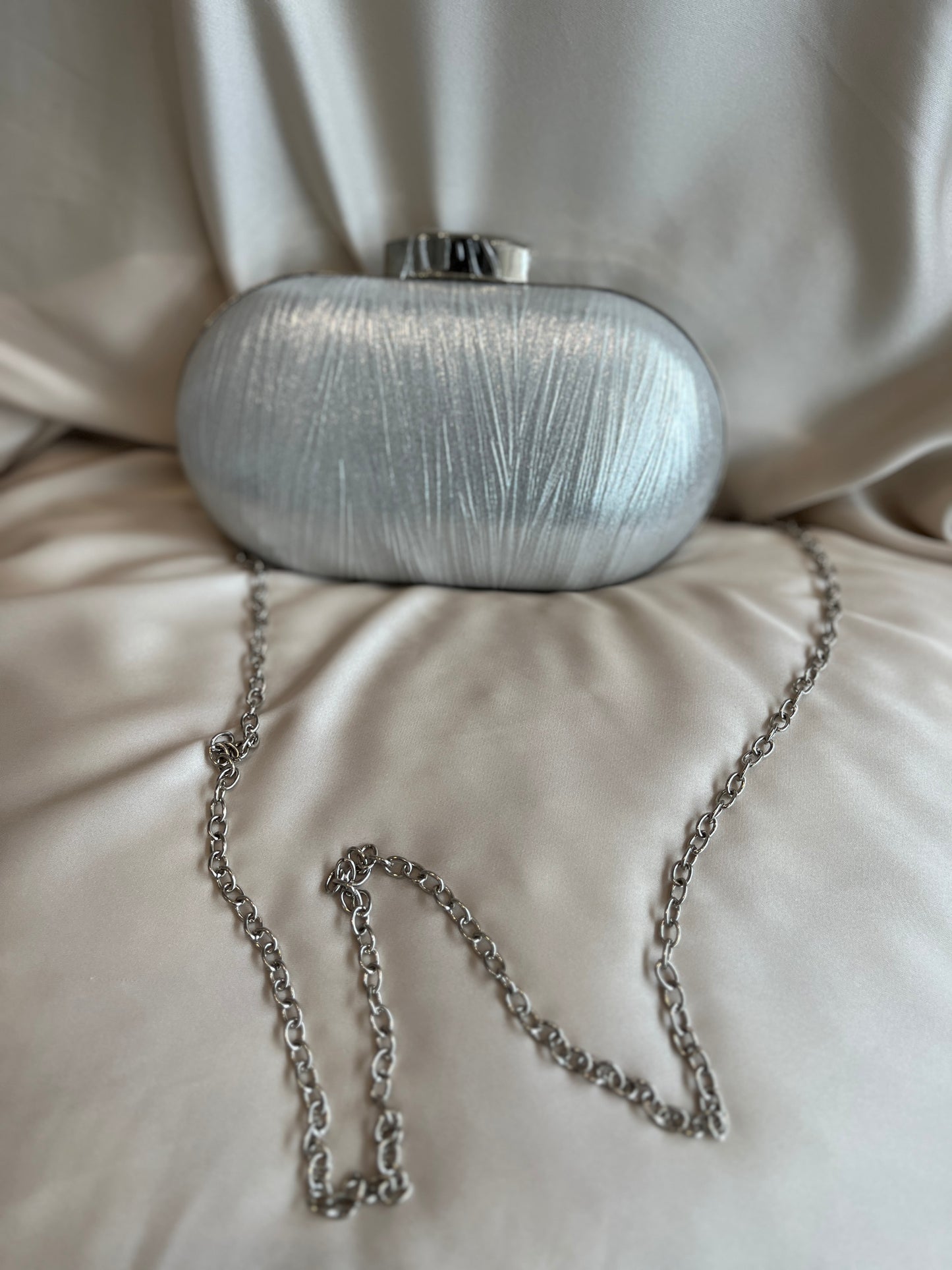 Bolso Plateado